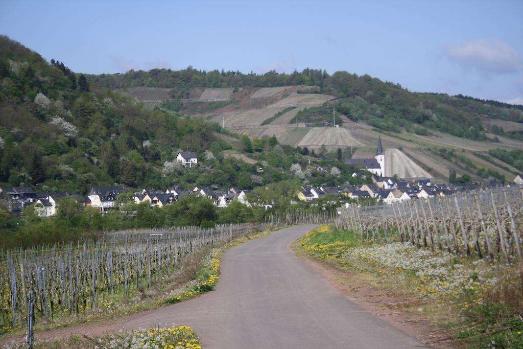 Отель Weingut Goeres Бридель Экстерьер фото