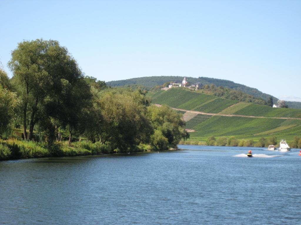 Отель Weingut Goeres Бридель Экстерьер фото